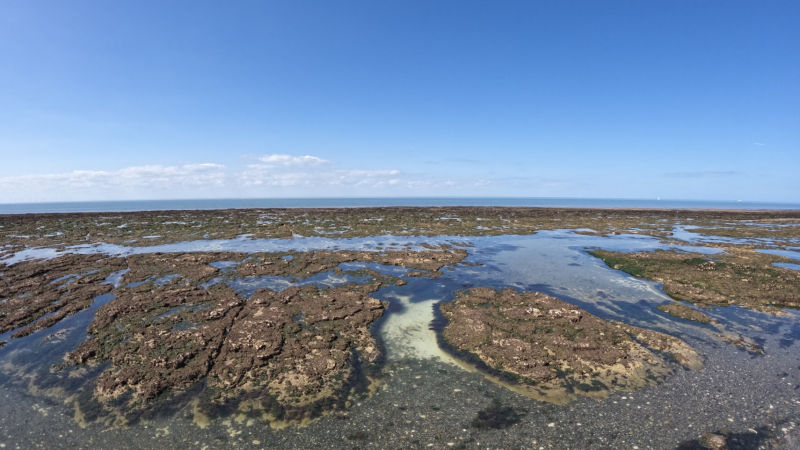 Grenham Bay