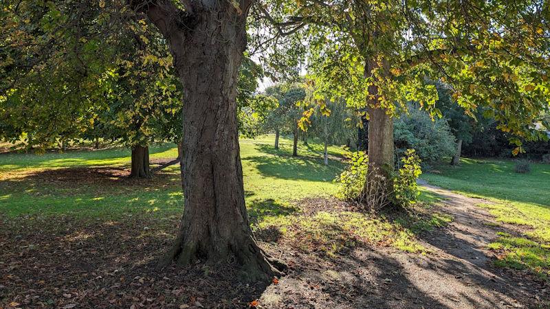 Dane Park Dane Park