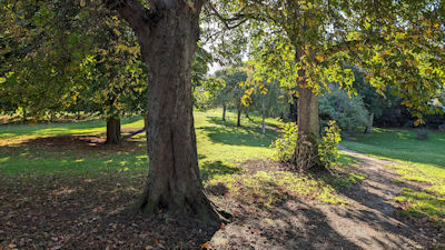 Dane Park