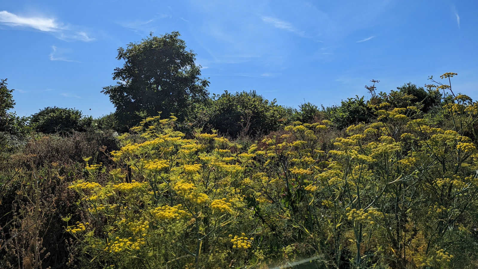 Dane Valley Woods Dane Valley Woods