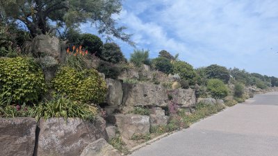 East Cliff Chine