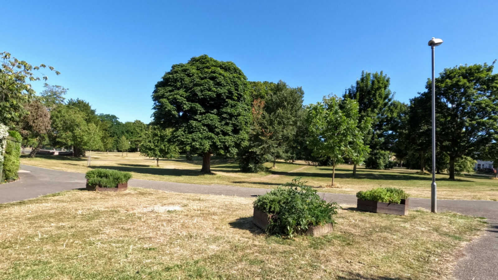 Ellington Park