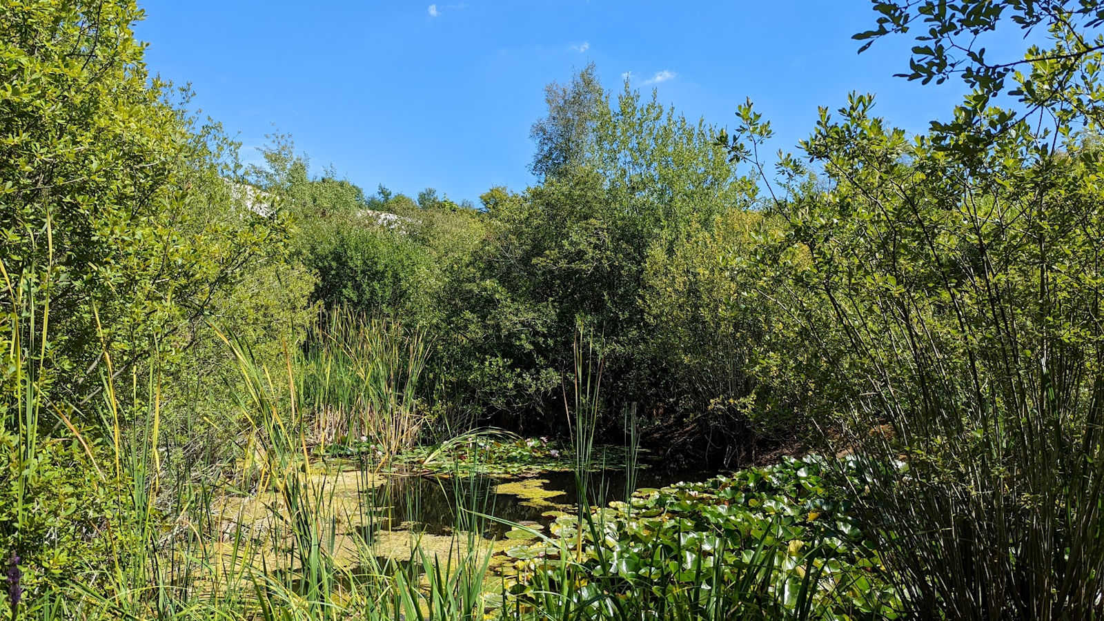 Monkton Nature Reserve