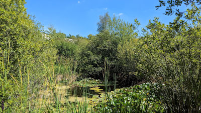 Monkton Nature Reserve