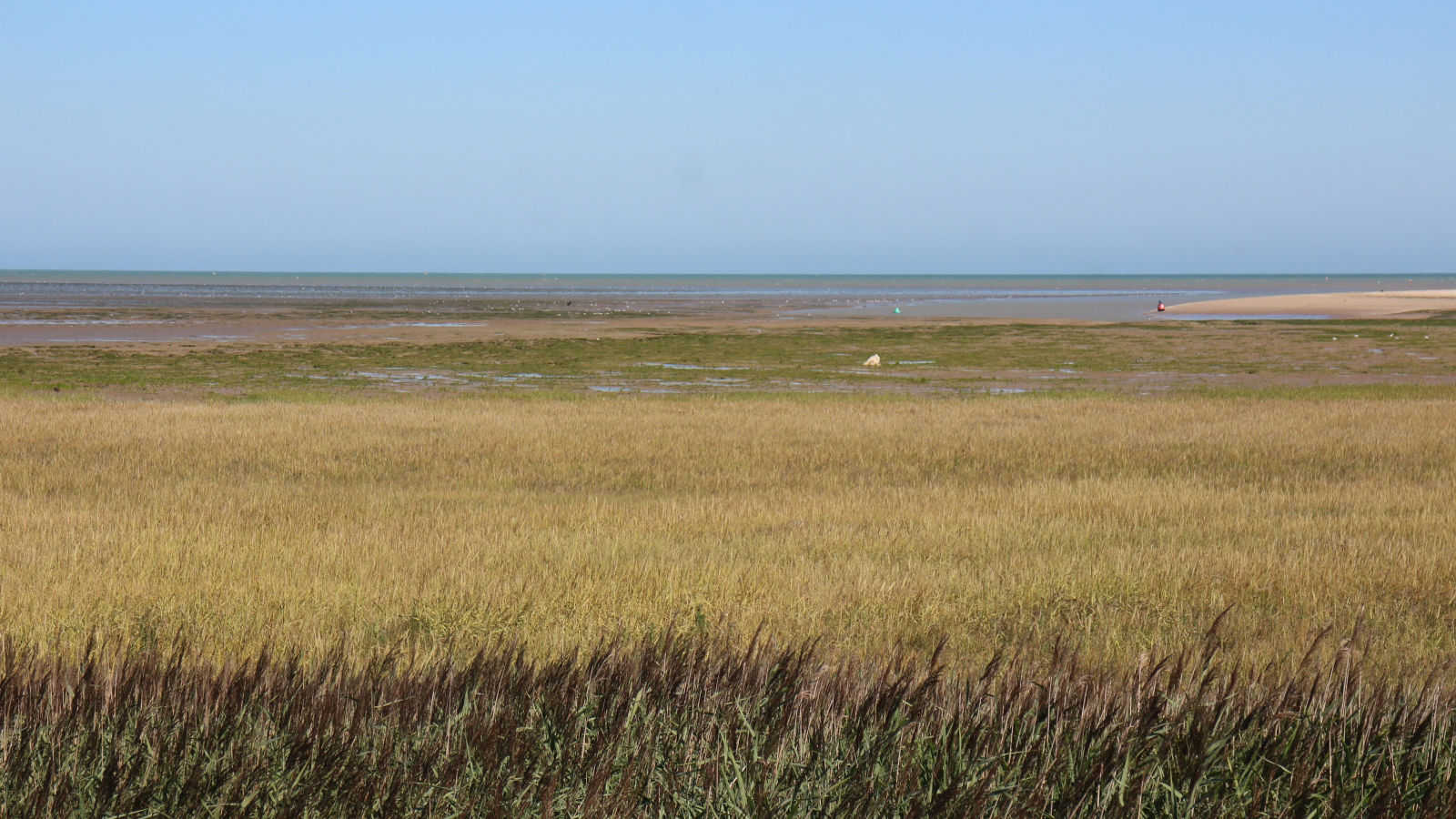 Pegwell Bay Country Park Pegwell Bay Country Park