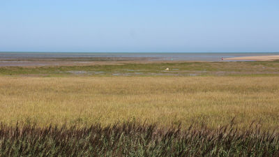 Pegwell Bay Country Park Pegwell Bay Country Park