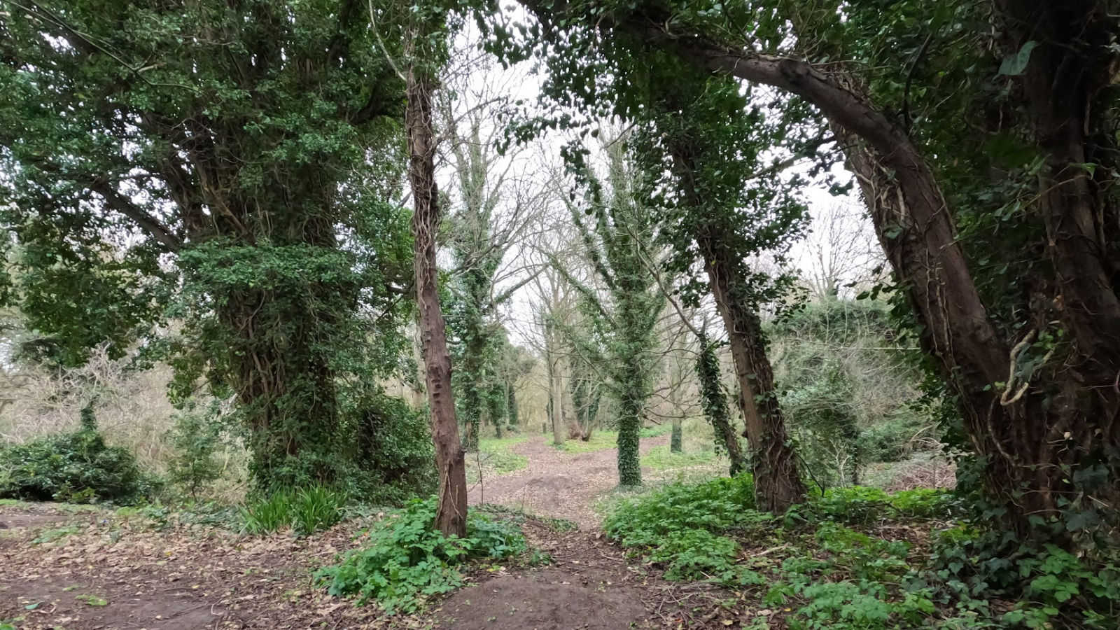 Tivoli Park Tivoli Park